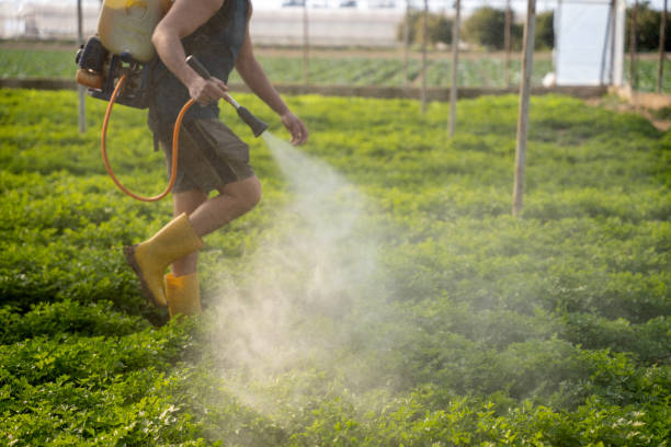 Professional Pest Control in Hermiston, OR