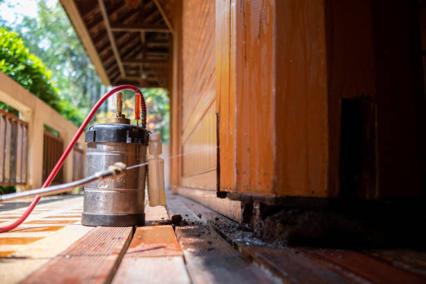 Best Wasp Removal Services  in Hermiston, OR