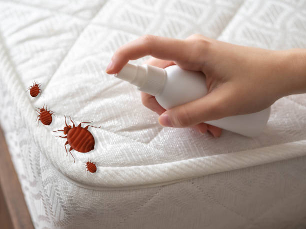 Best Wasp Removal Services  in Hermiston, OR