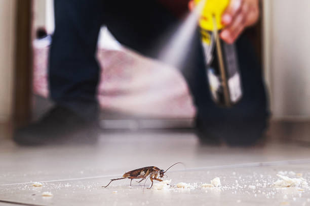 Best Cockroach Control Services  in Hermiston, OR